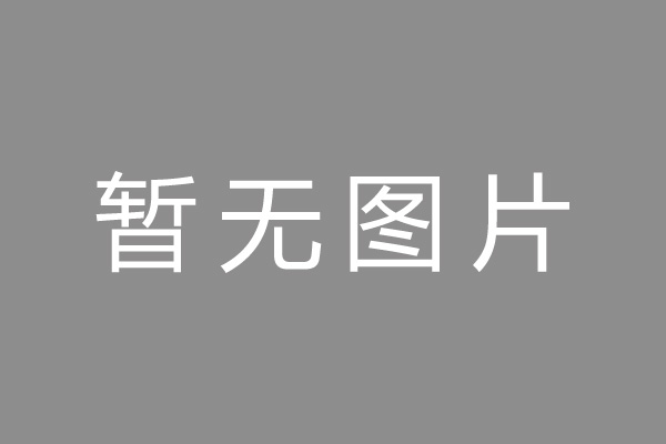 测试公司新闻标题4